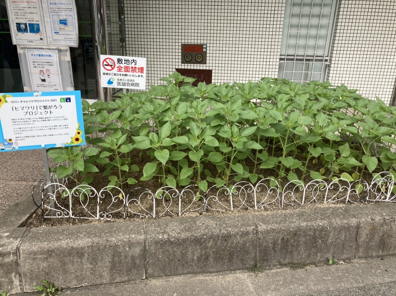 一日一善 and ええ事ニュース
