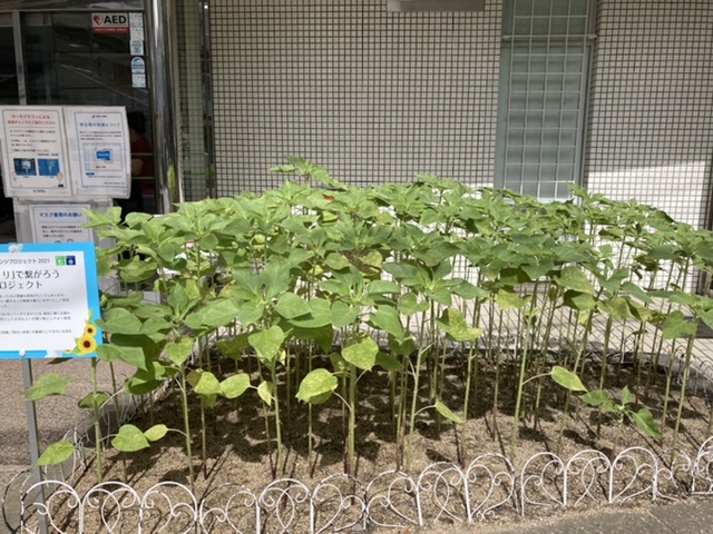一日一善 and ええ事ニュース