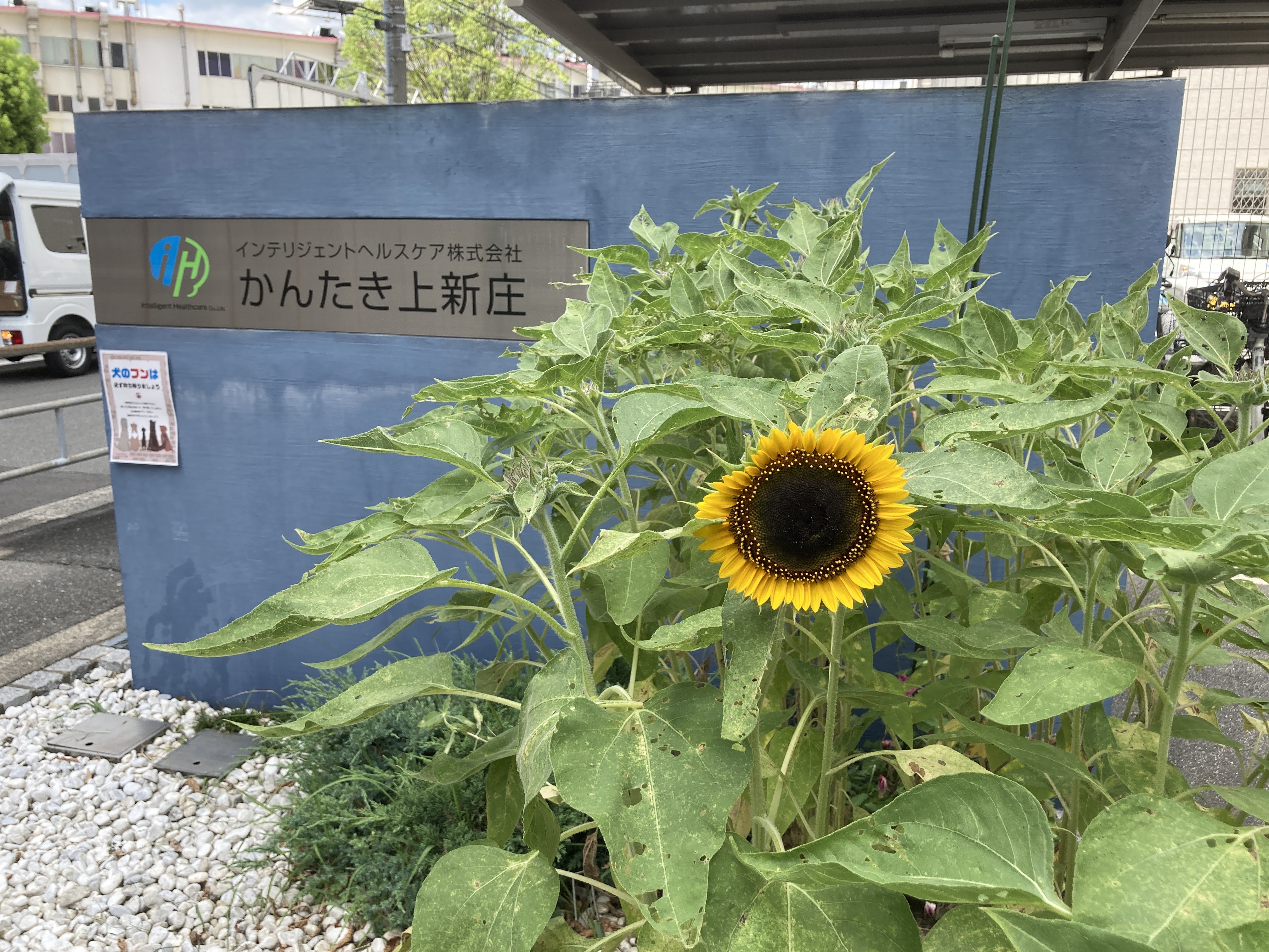 一日一善 and ええ事ニュース