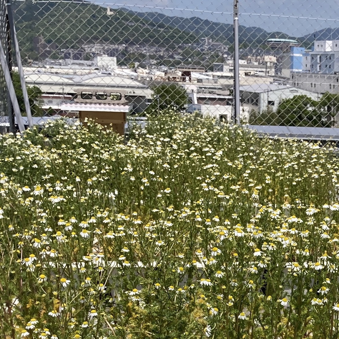一日一善 and ええ事ニュース