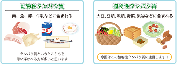 植物性タンパク質
