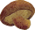 しいたけ