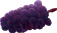 ぶどう