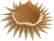 栗