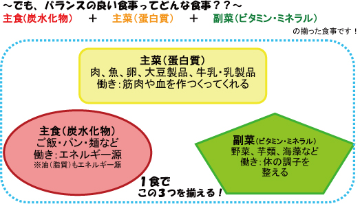 でも、バランスの良い食事ってどんな食事??