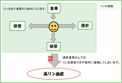 リンの経路