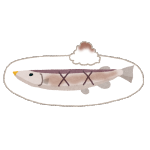 焼き魚