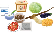 食生活のポイント