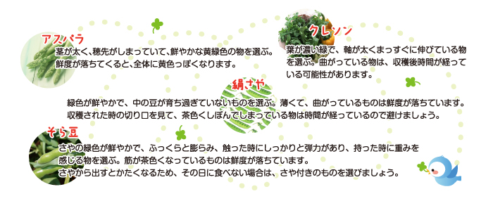 野菜選びのコツ