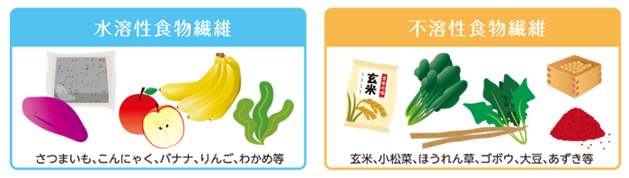 便秘(腸の健康)