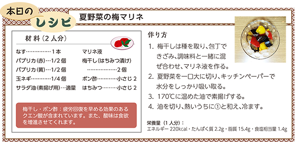本日のレシピ 夏野菜の梅マリネ