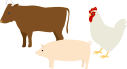 肉の種類とその特徴