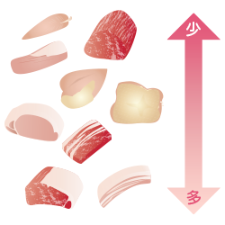 肉の種類とその特徴