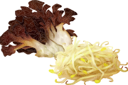 まいたけともやし