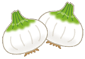新玉ねぎとは?