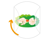 生春巻き